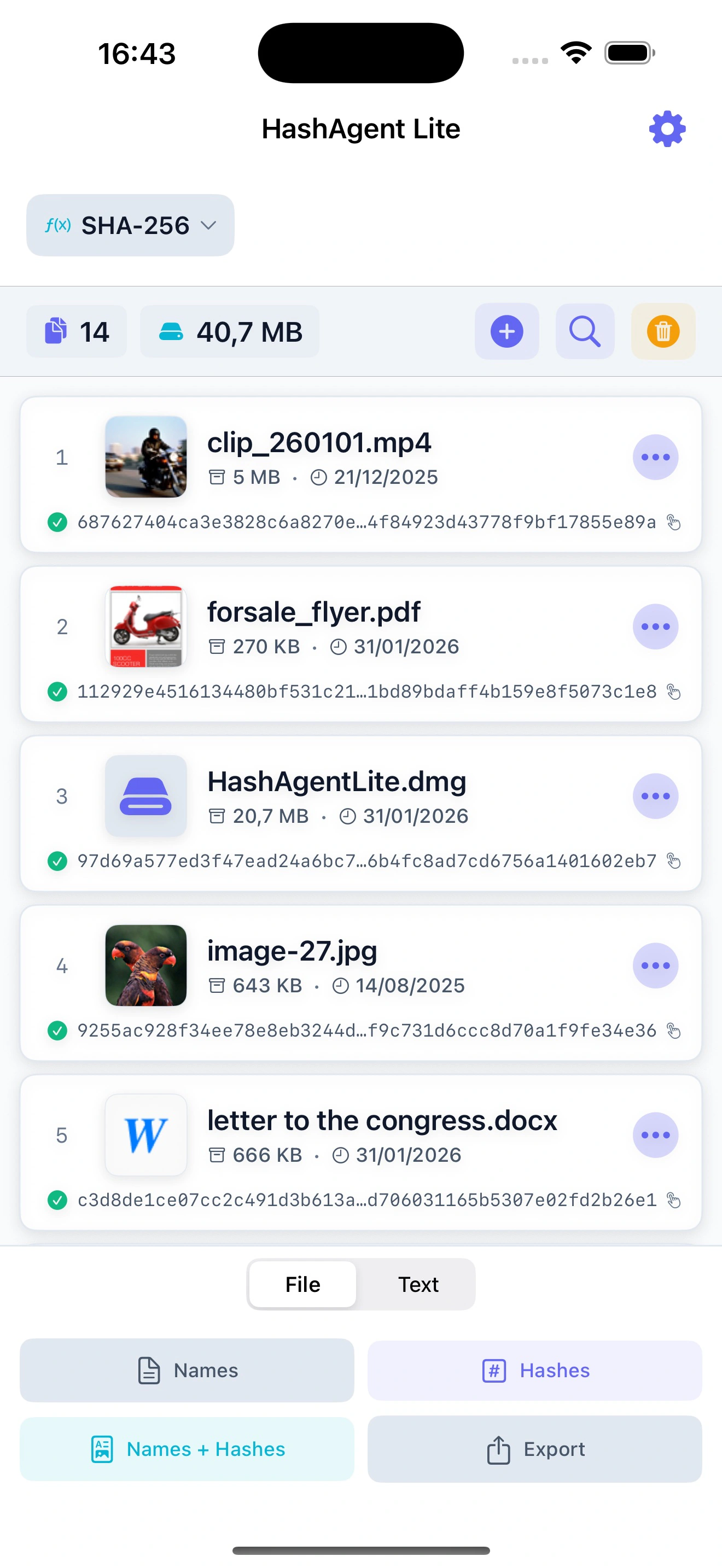 HashAgent Lite on iPhone